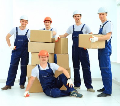 Professional team handling furniture moves